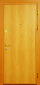 Дверь модель 10